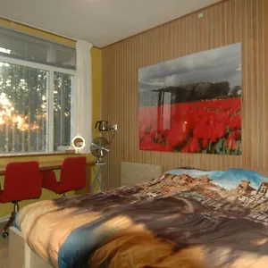 3* Bed and breakfast Tulip Gallery