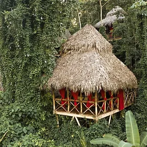 https://dominican-tree-house.greaterantilleshotels.net